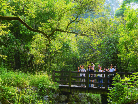 小坑溪親水文學步道位於清溪綠地公園內,在維護溪流生態之餘,也成為陶冶性情、親子活動的絕佳路線。