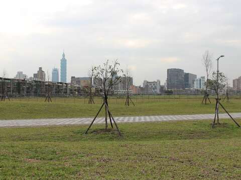 圖1-南港62公園簡易綠美化完成