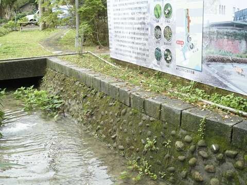 臺大校園內瑠公圳(水工所段)復育現況