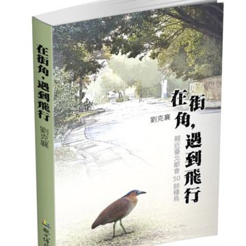 《在街角,遇到飛行》