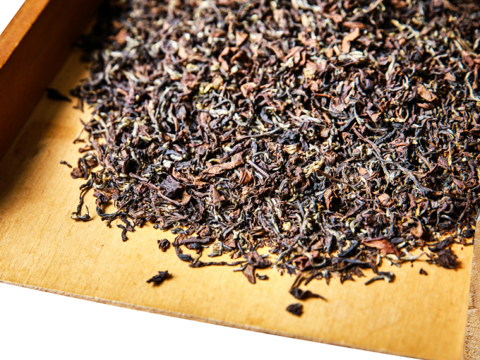 明山茶葉每月舉辦茶葉教學等活動。