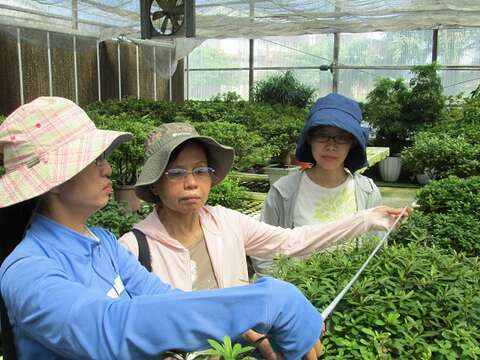 台北ツツジフェスティバル  季節の花のパーティーへ！