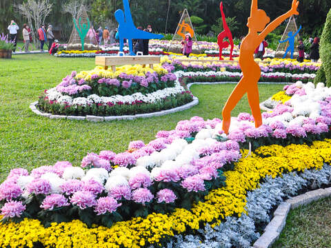 C. K. S. Shilin Residence Chrysanthemum Show 2017