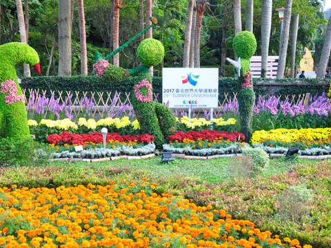 C. K. S. Shilin Residence Chrysanthemum Show 2017