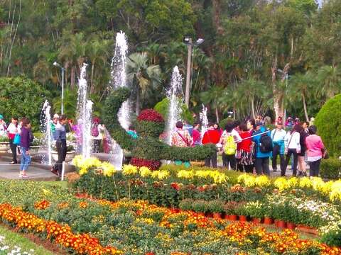 C. K. S. Shilin Residence Chrysanthemum Show 2017