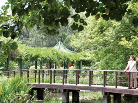 TAIPEI 夏季号 2016 Vol.06　異次元ジャングル「台北植物園」