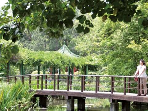TAIPEI 夏季号 2016 Vol.06 異次元ジャングル「台北植物園」