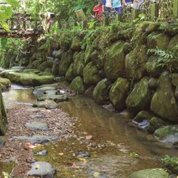 TAIPEI AUTUMN 2016 Vol.05 Beautiful Forest Scenery Close to the Urban Center