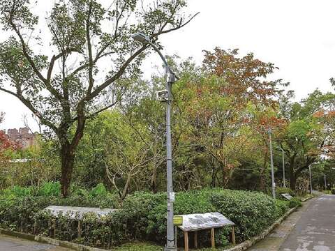 大安森林公園中的LED賞螢路燈,可減少對螢火蟲造成傷害。(攝影/黃建彬)