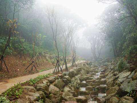 陽明山竹子湖陽明溪畔步道