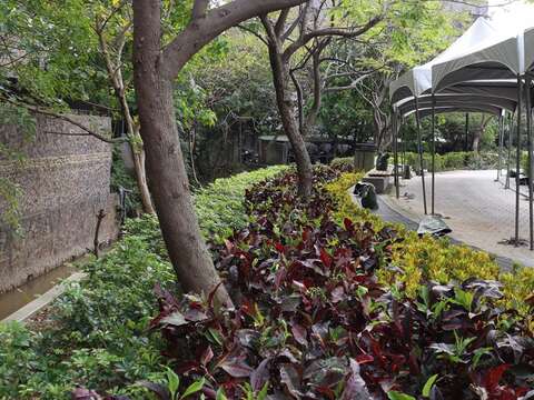 北投公園品質up up  明年融入生態博物館園區