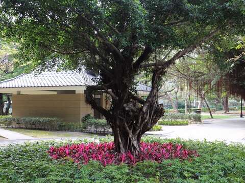 北投公園品質up up  明年融入生態博物館園區