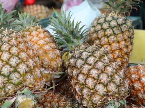 花博五月感恩母親月 闖關傳愛樂「萄桃」