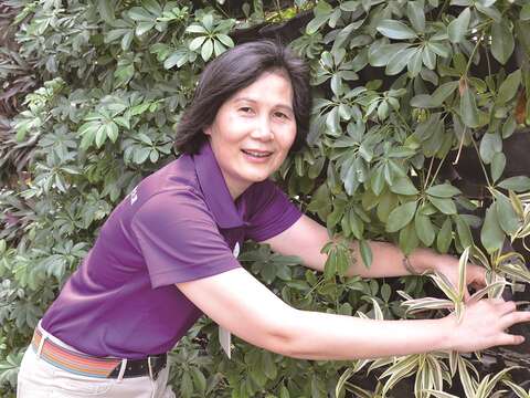 邱一流回收工地丟棄的植栽牆,在焚化廠打造綠意花園。(攝影/吳淑華)