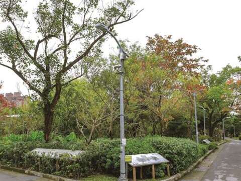 TAIPEI 夏季号 2017 Vol.08   ホタルの思い出を追って 生態系復活に大成功