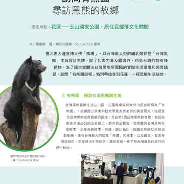 別冊11
