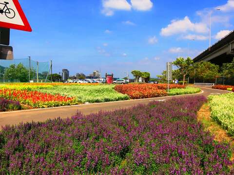 世大運來了 北市河濱70萬盆花海盛大迎賓
