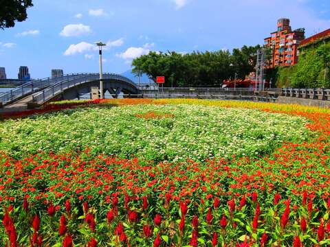 世大運來了 北市河濱70萬盆花海盛大迎賓