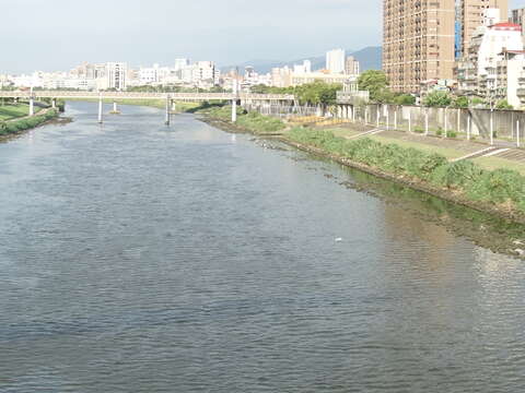 世大運來了 北市河濱70萬盆花海盛大迎賓