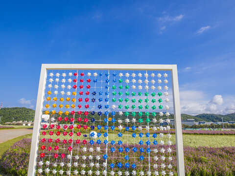 中秋賞月兼賞花 北市大佳河濱花海正美