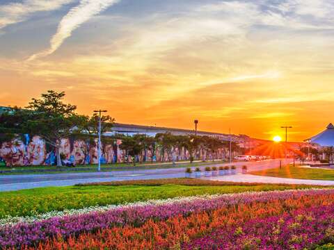 中秋賞月兼賞花 北市大佳河濱花海正美