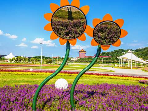 中秋賞月兼賞花 北市大佳河濱花海正美