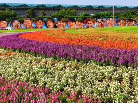 中秋賞月兼賞花 北市大佳河濱花海正美