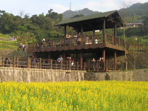 樟樹步道