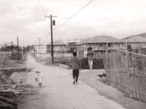 1950年代天母正在興建的美軍宿舍。(圖/林錦地提供)