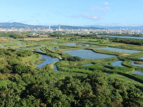 關渡自然公園廣闊的景致。(攝影/周品秀)