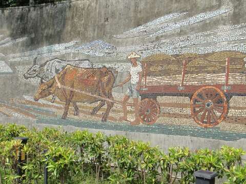Public Invited to Visit Yuanshan Area’s Hidden Attraction -- Jiantan Park