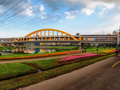 北市首波河濱花海登場  14萬盆觀山花海限時欣賞