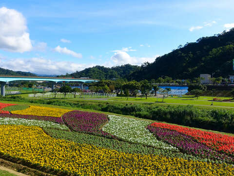 年底壓軸登場  道南河濱童趣花海歡樂綻放中