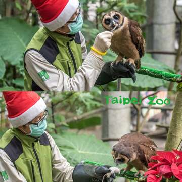 動物聖誕嚐美味~兼顧環保不浪費！
