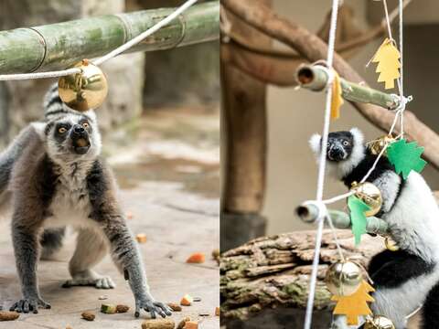 動物聖誕嚐美味~兼顧環保不浪費！
