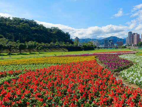 直擊101跨年煙火燈光秀 北市河濱首選原來是它