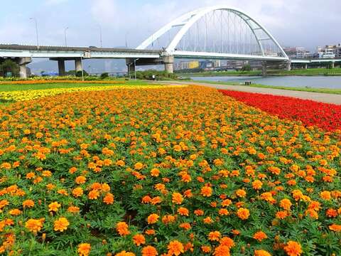 直擊101跨年煙火燈光秀 北市河濱首選原來是它