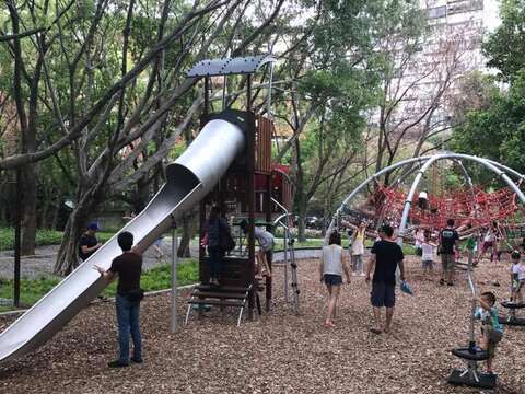天母發現綠寶石 天和及東和公園與生態共舞
