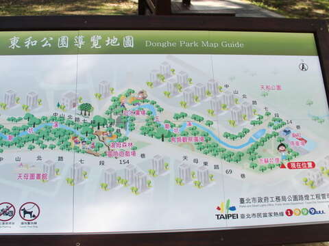 天母發現綠寶石 天和及東和公園與生態共舞