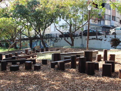 天母發現綠寶石 天和及東和公園與生態共舞