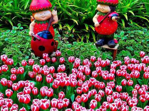 2018 CKS Shilin Residence Tulip Show to Kickoff February 13