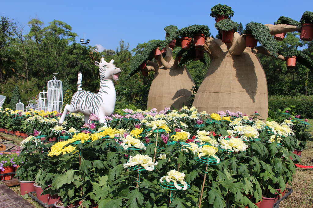 C. K. S. Shilin Residence Chrysanthemum Show 2018