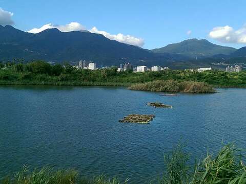 假日好去處 社子大橋下變身遊樂新天地
