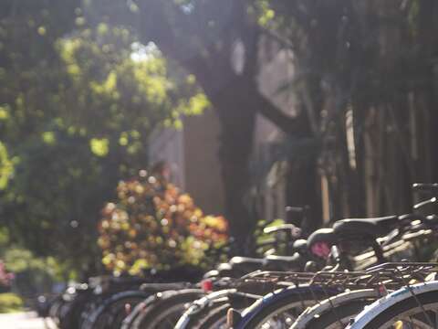 1月1日起自行車若未停放在合法地點，將會被拖吊罰款。（圖／Shutterstock提供）
