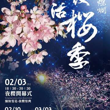 光櫻燦爛 內湖樂活夜櫻季2/3登場
