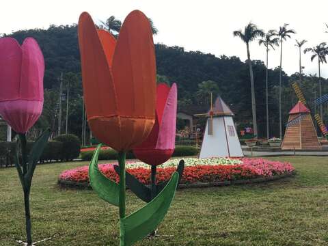 這個新年走荷蘭風 士林官邸推鬱金香展