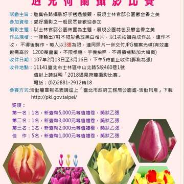 這個新年走荷蘭風 士林官邸推鬱金香展