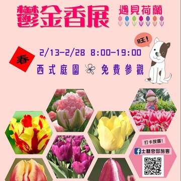 這個新年走荷蘭風 士林官邸推鬱金香展