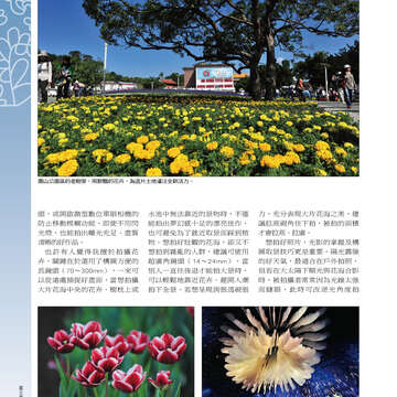 台北畫刊515期(99年12月)