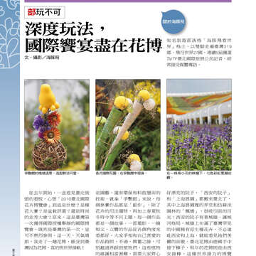 台北畫刊515期(99年12月)
